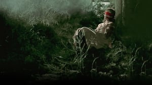 Media Backdrop