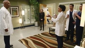 Grey’s Anatomy 11 x Episodio 22