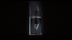 Dracula: The Night Around Us 41