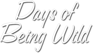 Days of Being Wild