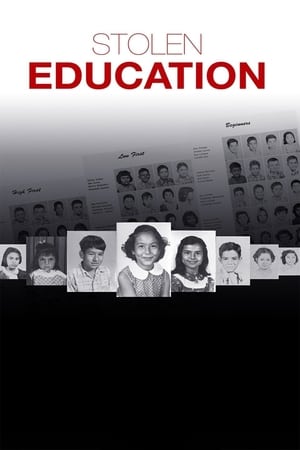 Poster Stolen Education (2013)