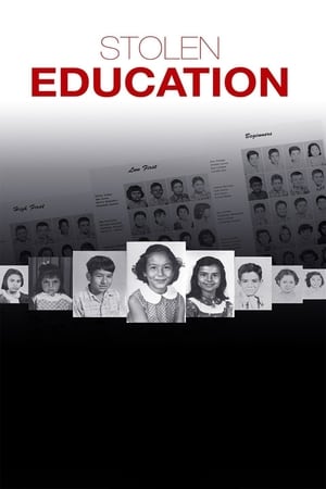 Poster Stolen Education 2013