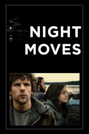 Poster for Night Moves (2013)