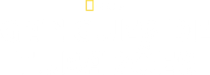 Gangues de Tubarões — Logos 1