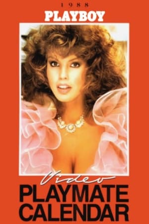 Poster Playboy Video Playmate Calendar 1988 1987