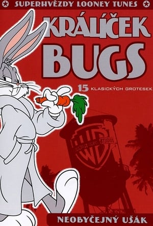 Looney Tunes Super Stars Bugs Bunny: Hare Extraordinaire