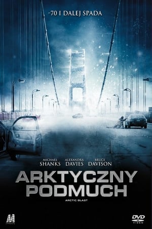 Poster Arktyczny podmuch 2010