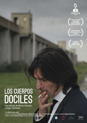 Poster Docile Bodies (2015)