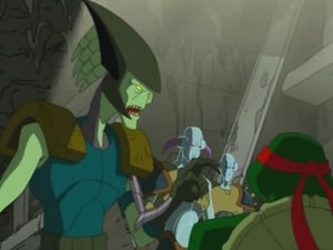 Teenage Mutant Ninja Turtles: 2×4