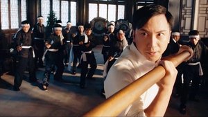 IP Man: El maestro del kung fu Online En Netflix