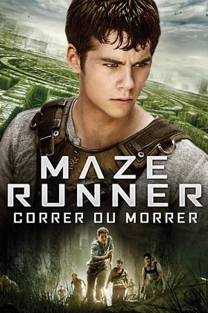 Poster Maze Runner - Correr ou Morrer 2014