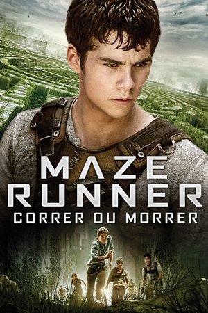 poster The Maze Runner