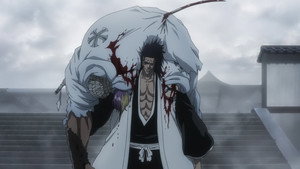 Bleach: 2×5