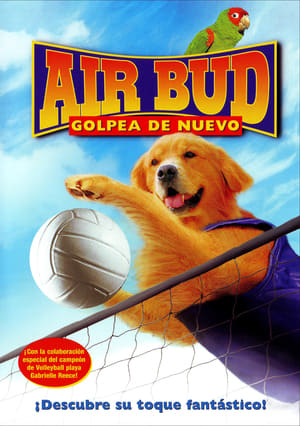 Poster Air Bud 5: Golpea de Nuevo 2003