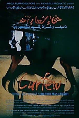 Poster Curfew (1994)