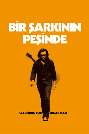 Poster Bir Şarkının Peşinde 2012