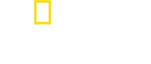 Photographer — Logos 8