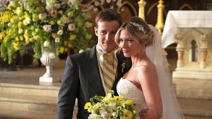 Blue Bloods 9 x 22