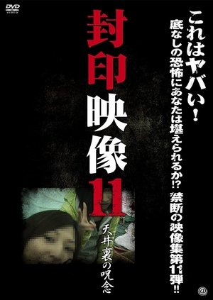 pelicula 封印映像 11 天井裏の呪念 (2013)