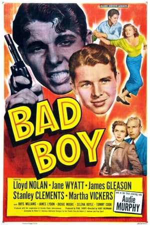 Bad Boy poster