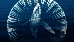 Fathom (2021)