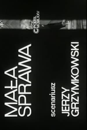 Poster Mała sprawa (1980)