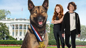 Max 2: White House Hero (2017) Subtitle Indonesia