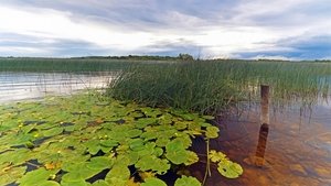 Ireland's Wild River