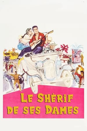 Poster Le Shérif de ces dames 1962