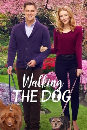 Poster Walking the Dog 2017