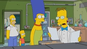 Los Simpson Temporada 29 Capitulo 11