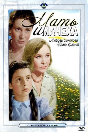 Mother and Stepmother poster