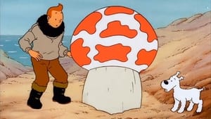 The Adventures of Tintin S02E01