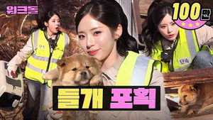 Thought We’d “Work Like Dogs”… So We Caught Strays | Animal Control | Workdol | fromis_9 Jiwon still