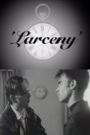 Poster Larceny 1996