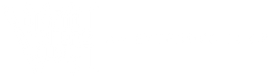 Grand Theft Auto VI: An Extended Look