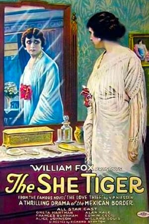 Poster The Love Thief (1916)