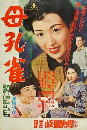 Poster 母孔雀 1956