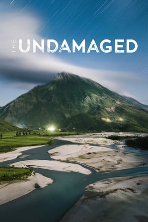 Poster The Undamaged (2018)