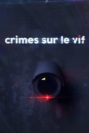Image Meurtres sous surveillance