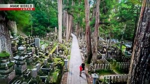 Journeys in Japan: 14×24