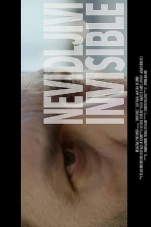 Poster Invisible (2017)