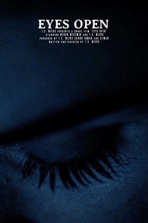 eyes open (2016)