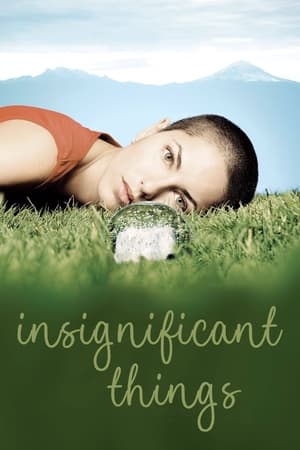 Poster Insignificant Things (2008)