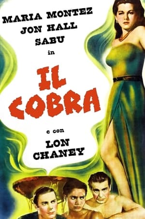 Image Il cobra