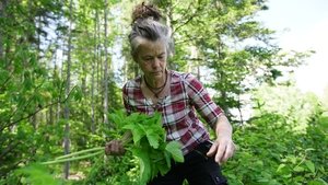 La famille de la forêt film complet