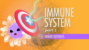 Crash Course Anatomy & Physiology Immune System, Part 1