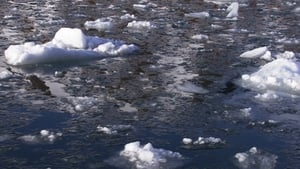 Frozen Planet: 1×3