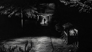 Demons 35