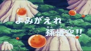 Dragon Ball - Dragon Ball - Saison 1 - Sangoku revient à la vie - image n°1